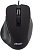Мышь Acer OMW120 черный оптическая 2000dpi USB 6but (ZL.MCEEE.00H)